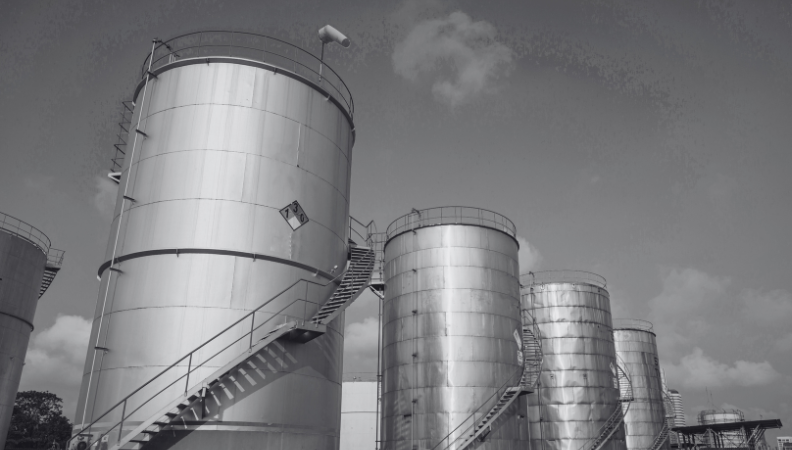 Unstandard is the Standard in Plunger Lift Optimization