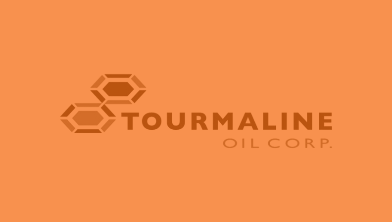 Ambyint Plunger Lift Optimization - Tourmaline